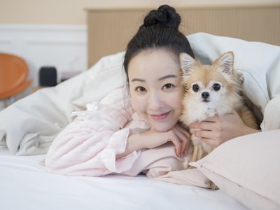 고양이 펫보험 비교
