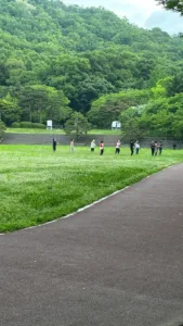 보험과 스포츠의 역동적 상관관계: 위험 관리에서 가치 창출까지