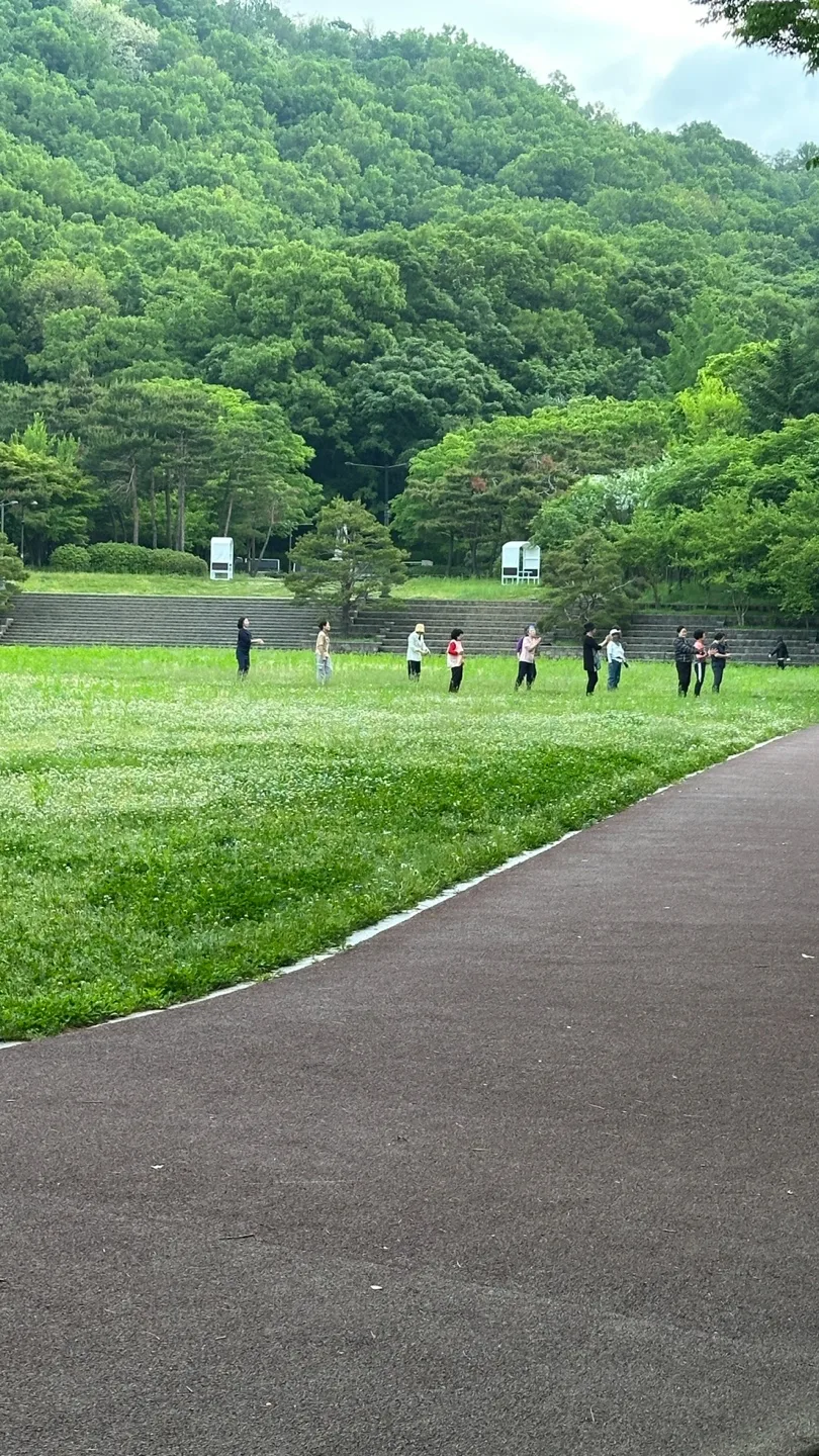 보험과 스포츠의 역동적 상관관계: 위험 관리에서 가치 창출까지